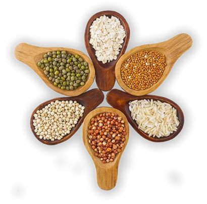 A group of wooden spoons with different grains in them

Description automatically generated